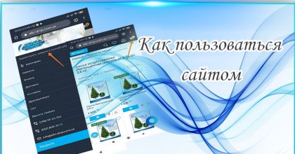 Як користуватися сайтом Ялинки Дроп