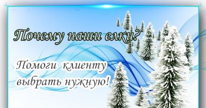 Чому наші Ялинки? Допоможи клієнтові вибрати потрібну!