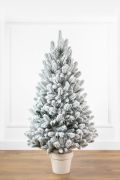 Литая Лапландская ель в горшке 1.1 м  заснеженная
